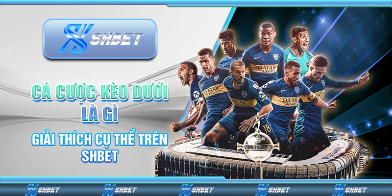 Cá Cược Kèo Dưới Là Gì - Giải Thích Cụ Thể Trên SHBET