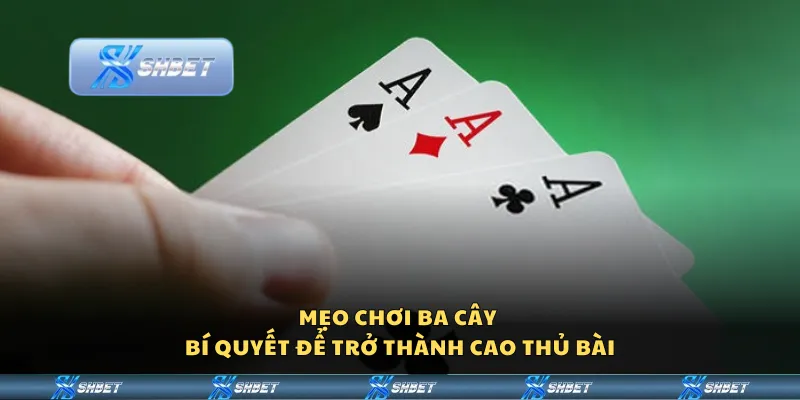 Mẹo chơi Ba Cây – Bí quyết để trở thành cao thủ bài