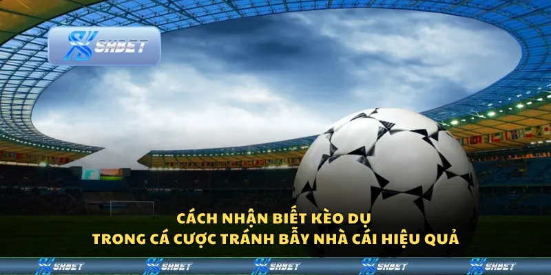 Cách nhận biết kèo dụ trong cá cược tránh bẫy nhà cái hiệu quả