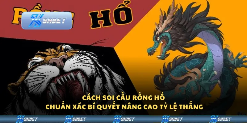 Cách soi cầu Rồng Hổ chuẩn xác – Bí quyết nâng cao tỷ lệ thắng