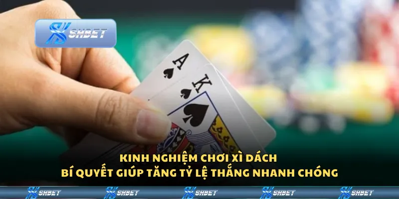 Kinh nghiệm chơi Xì Dách - Bí quyết giúp tăng tỷ lệ thắng nhanh chóng