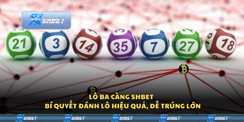 Lô ba càng Shbet – Bí quyết đánh lô hiệu quả, dễ trúng lớn
