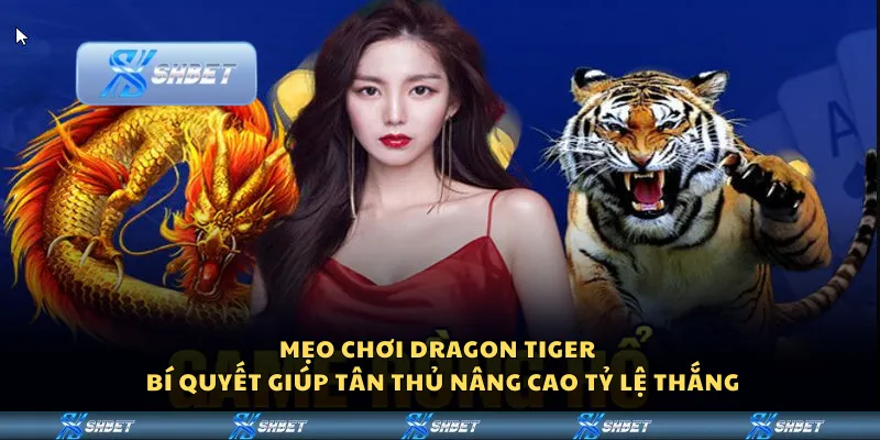 Mẹo chơi Dragon Tiger – Bí quyết giúp tân thủ nâng cao tỷ lệ thắng