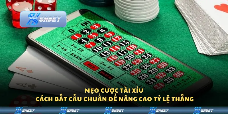 Mẹo cược tài xỉu – Cách bắt cầu chuẩn để nâng cao tỷ lệ thắng